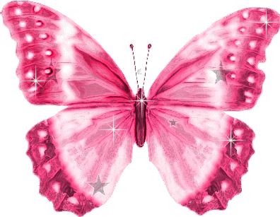 pink-butterfly-source_04i.gif